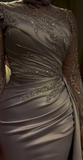 Elegant Mermaid Long Sleeves Evening Dress Glam Dress Y6717