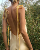 Carlotta Champagne Organic Silk Dress Gown